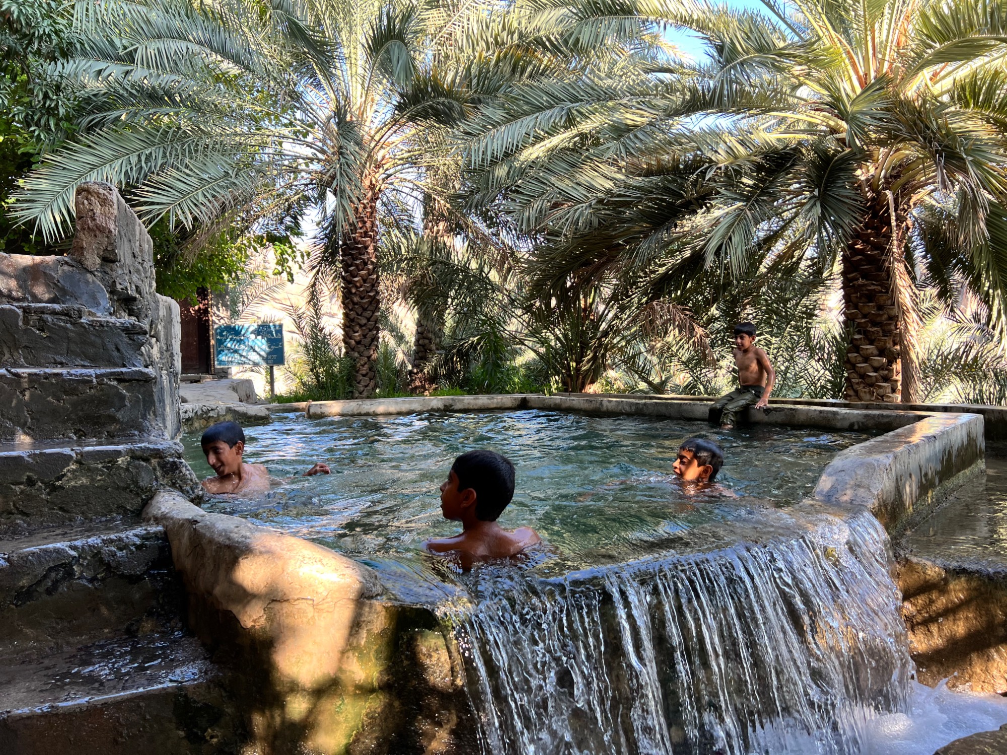 Kids swimming in an oasis